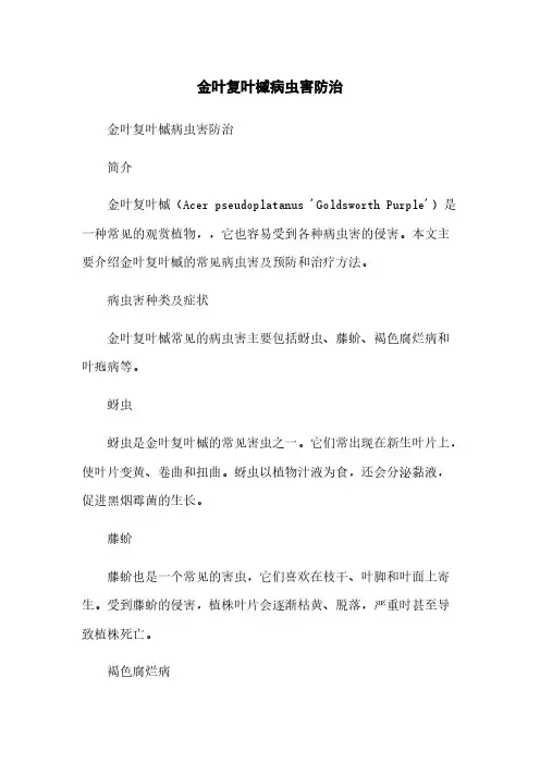 金叶复叶槭病虫害防治