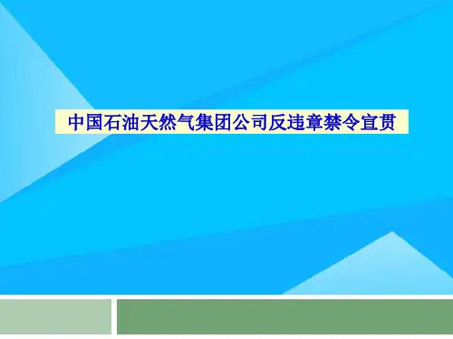 反违章禁令宣贯教材优质PPT