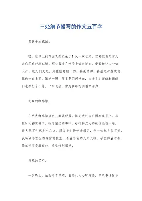三处细节描写的作文五百字