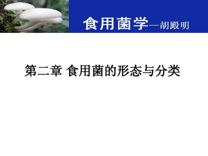 第2章 食用菌的形态与分类