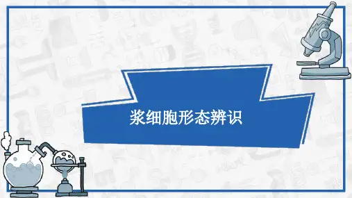 浆细胞形态辨识(血液学检验课件)
