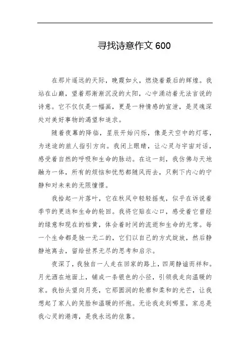 寻找诗意作文600