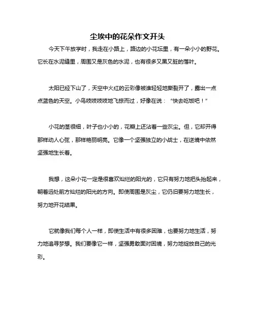 尘埃中的花朵作文开头