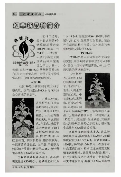 烟草新品种简介