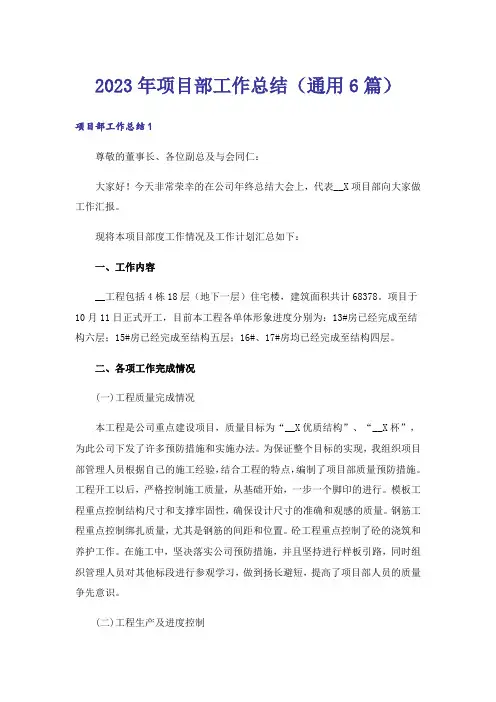 2023年项目部工作总结（通用6篇）