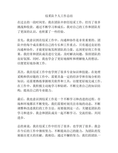 综釆队个人工作总结