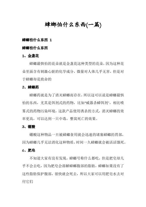 蟑螂怕什么东西(一篇)