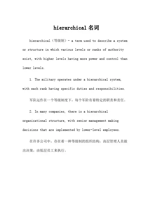 hierarchical名词