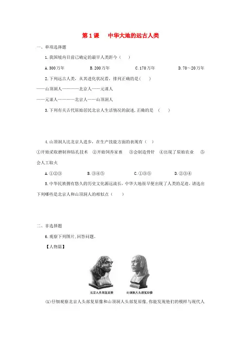 (秋季版)七年级历史上册 第1课《中华大地的远古人类》习题 北师大版-北师大版初中七年级上册历史试题