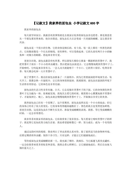 【记叙文】我家养的面包虫 小学记叙文600字