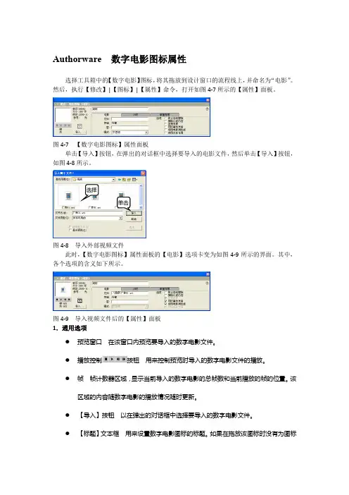 Authorware  数字电影图标属性