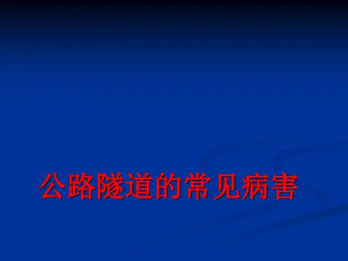 公路隧道的常见病害