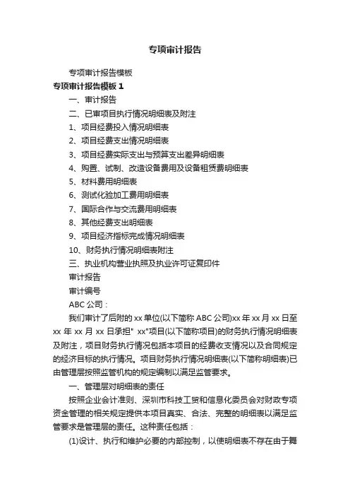 专项审计报告