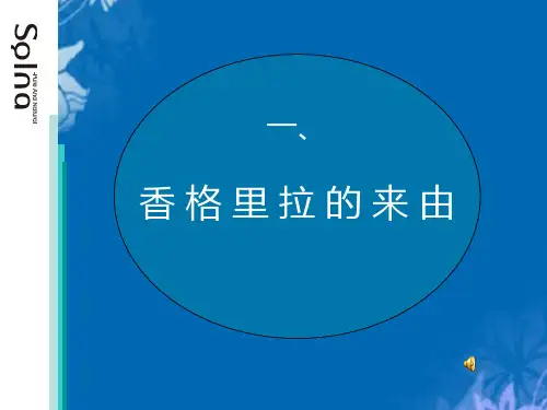 香格里拉国际化妆品公司企业文化(ppt 34页)