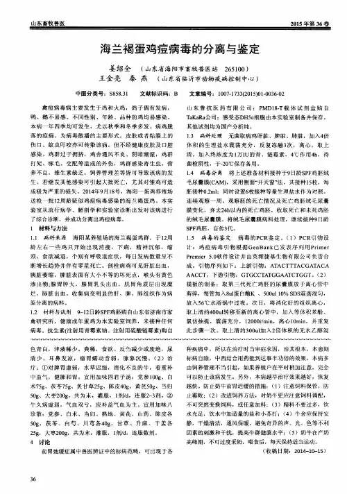 海兰褐蛋鸡痘病毒的分离与鉴定