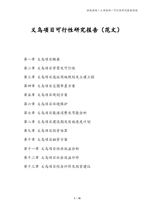 义乌项目可行性研究报告(范文)