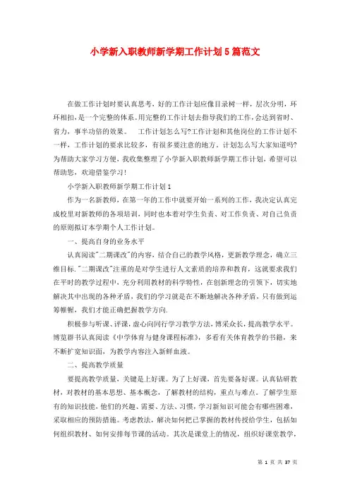 小学新入职教师新学期工作计划5篇范文