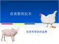 供体母畜的超数排卵处理