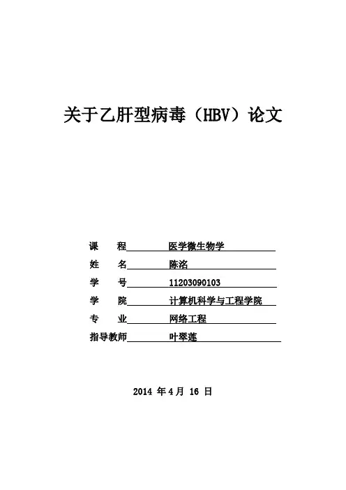 HBV论文