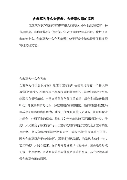 含羞草为什么会害羞,含羞草收缩的原因.doc