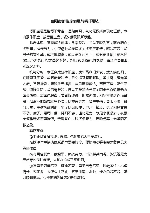 肾阳虚的临床表现与辨证要点