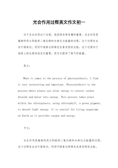 光合作用过程英文作文初一
