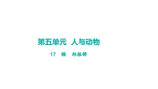 第17课《猫》学案课件-2024-2025学年统编版语文七年级上册(2024)