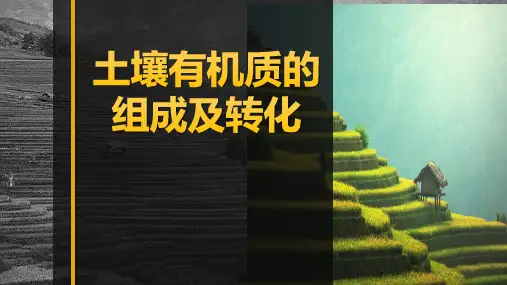 《土壤肥料》课件——1.1.6土壤有机质的组成及转化