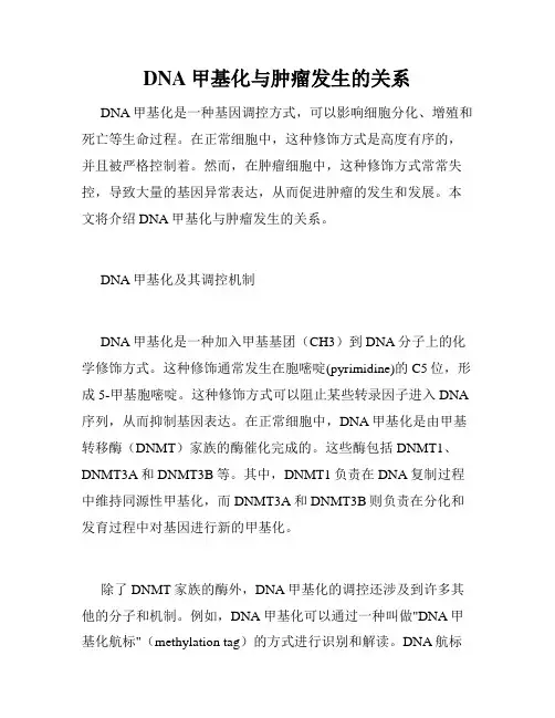 DNA甲基化与肿瘤发生的关系