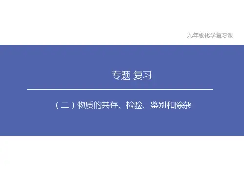 九年级化学中考专题复习课(二)物质的共存、检验、鉴别和除杂课件