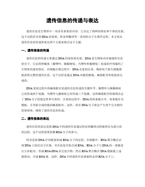 遗传信息的传递与表达