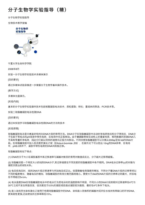 分子生物学实验指导（精）