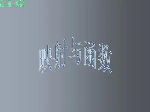 高三数学 映射与函数课件