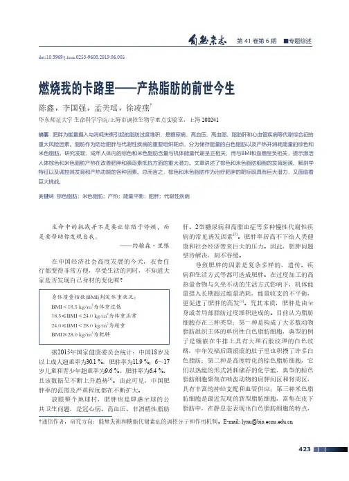 燃烧我的卡路里--产热脂肪的前世今生