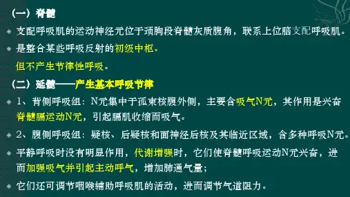 6第三节呼吸运动的调节