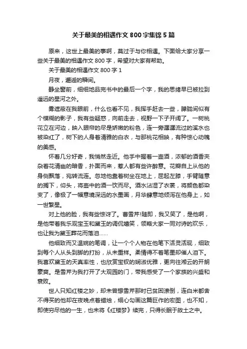 关于最美的相遇作文800字集锦5篇