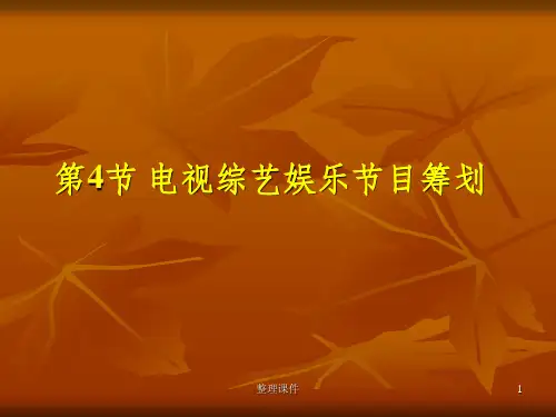 电视节目策划第4课-综艺娱乐节目(专业版)