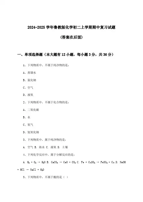 鲁教版化学初二上学期期中试题与参考答案(2024-2025学年)