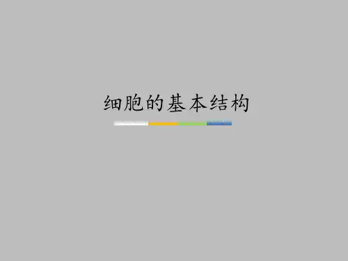 中图版高中生物必修1：分子与细胞细胞的基本结构