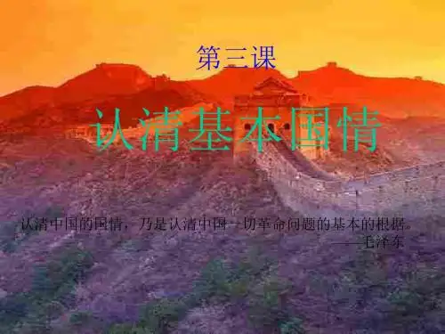 人教新课标版初中九年级2.3认清基本国情ppt课件2
