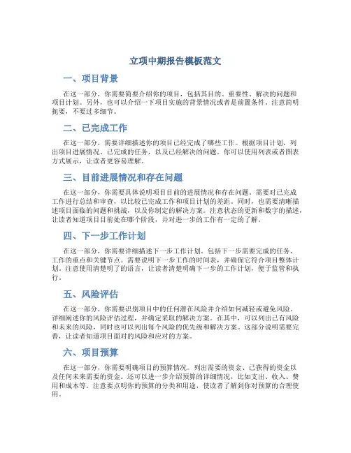 立项中期报告模板范文