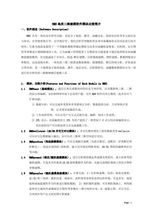 RM地质建模软件简介