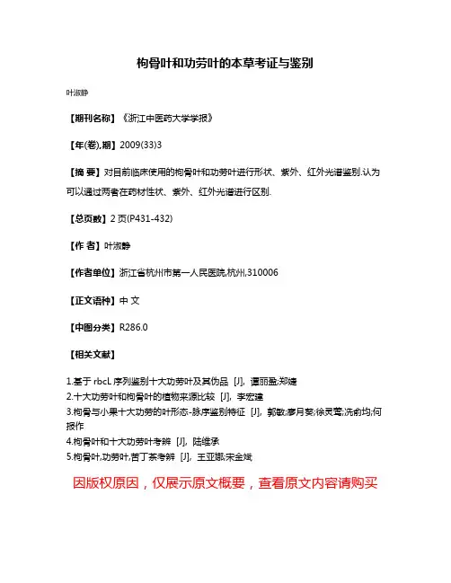 枸骨叶和功劳叶的本草考证与鉴别