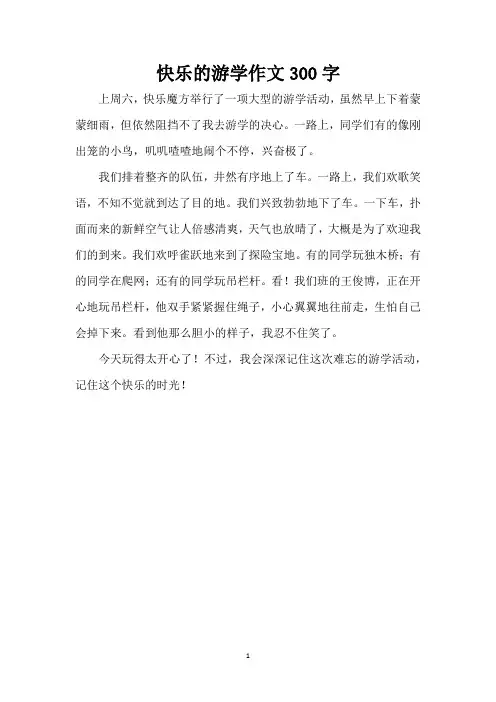 快乐的游学作文300字(精编版)