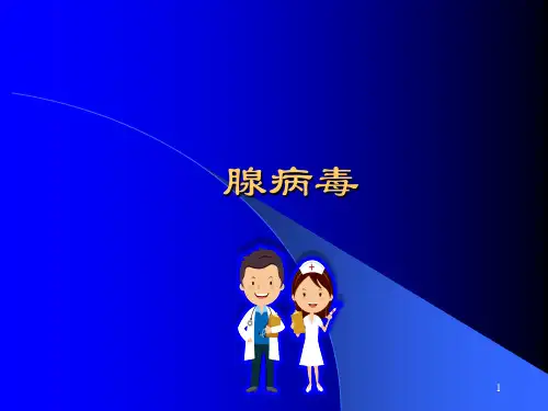 肠道腺病毒PPT参考课件