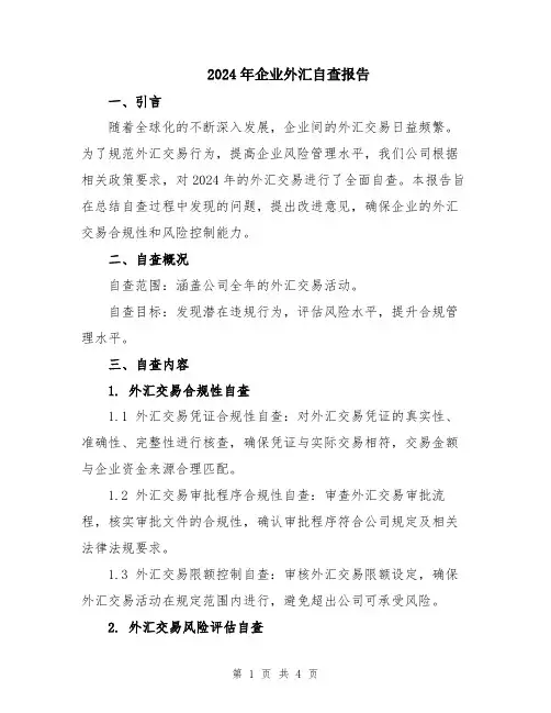 2024年企业外汇自查报告