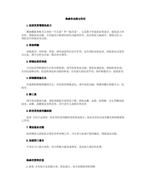 海参的功效和作用