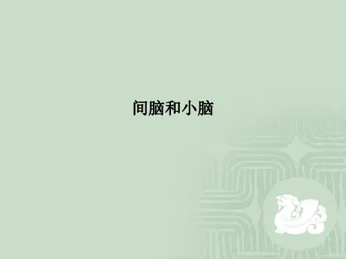 间脑和小脑PPT课件