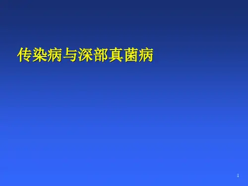 (推荐课件)传染病伤寒和细菌性痢疾PPT幻灯片