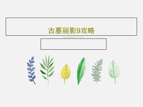 古墓丽影9攻略73页PPT